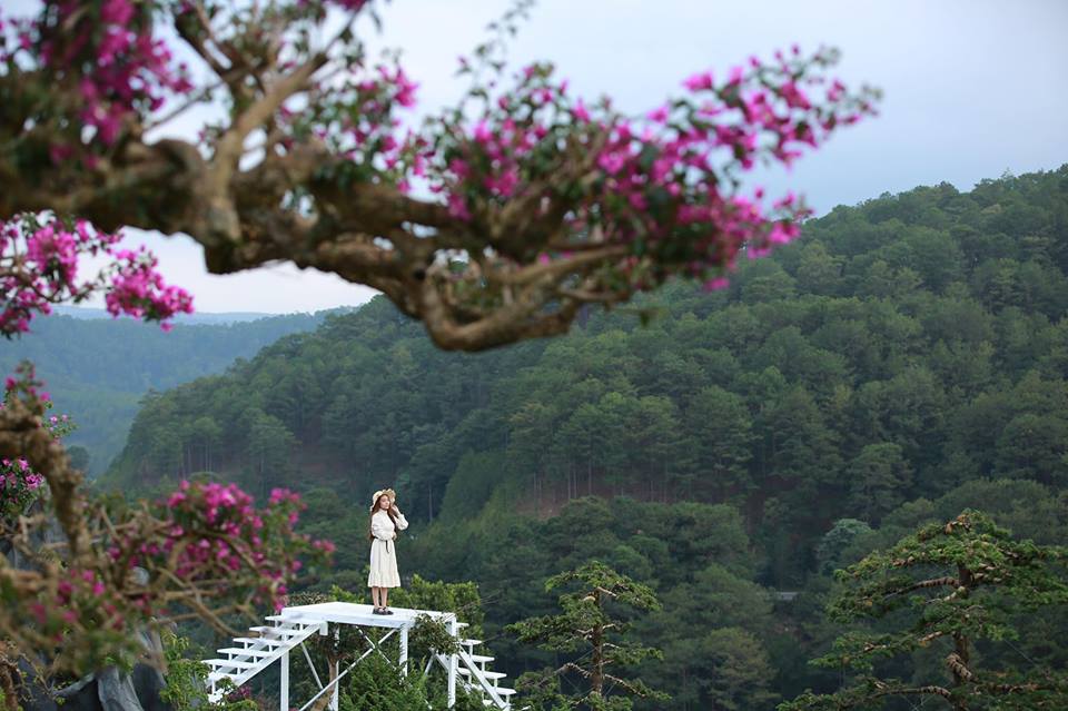Khám phá QUE Garden Đà Lạt - khu vườn tiểu Nhật Bản đẹp ngất ngây trung tâm thành phố